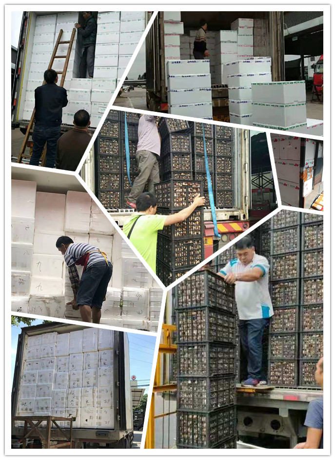 首页-PA集团有限公司官网入口