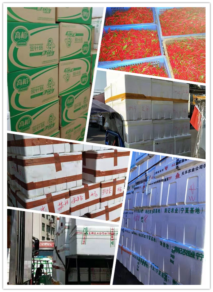 首页-PA集团有限公司官网入口