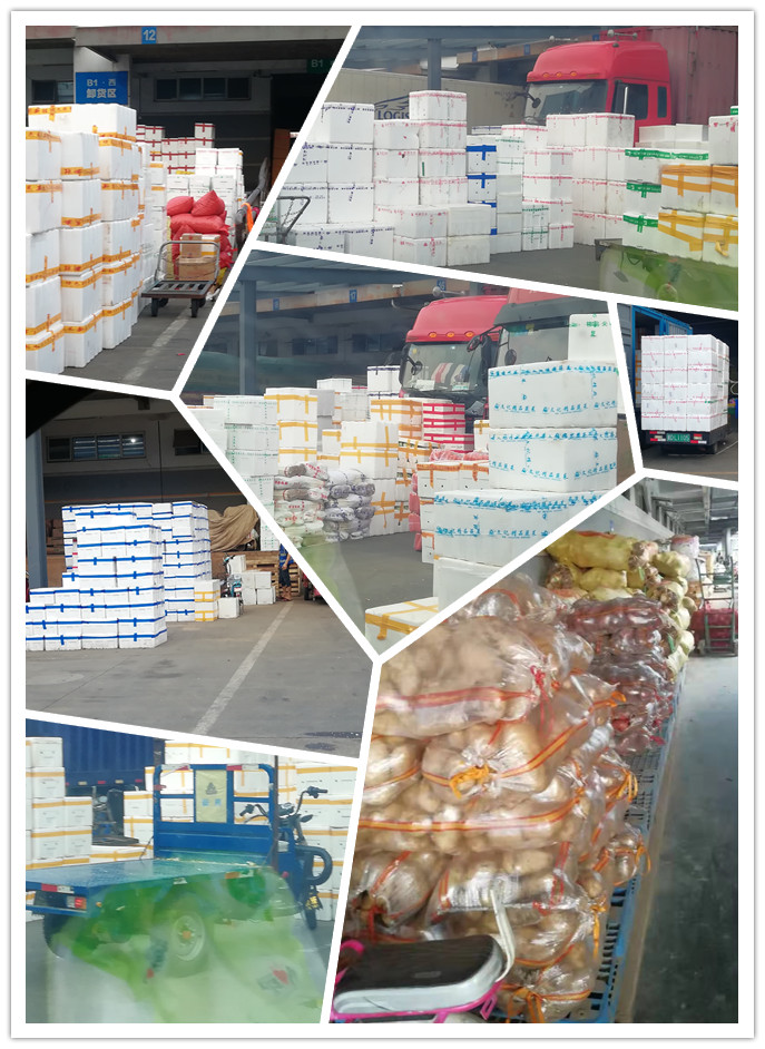 首页-PA集团有限公司官网入口