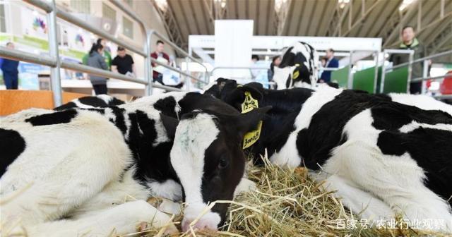 首页-PA集团有限公司官网入口