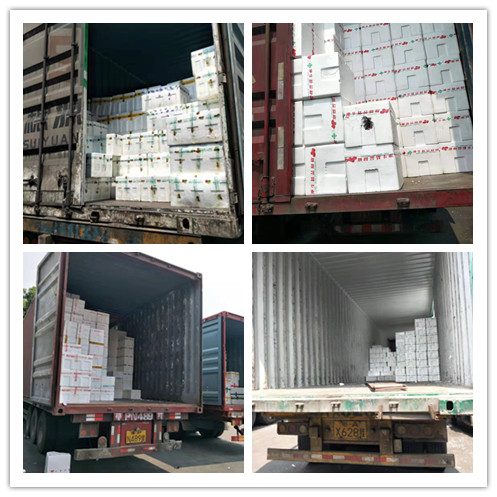 首页-PA集团有限公司官网入口