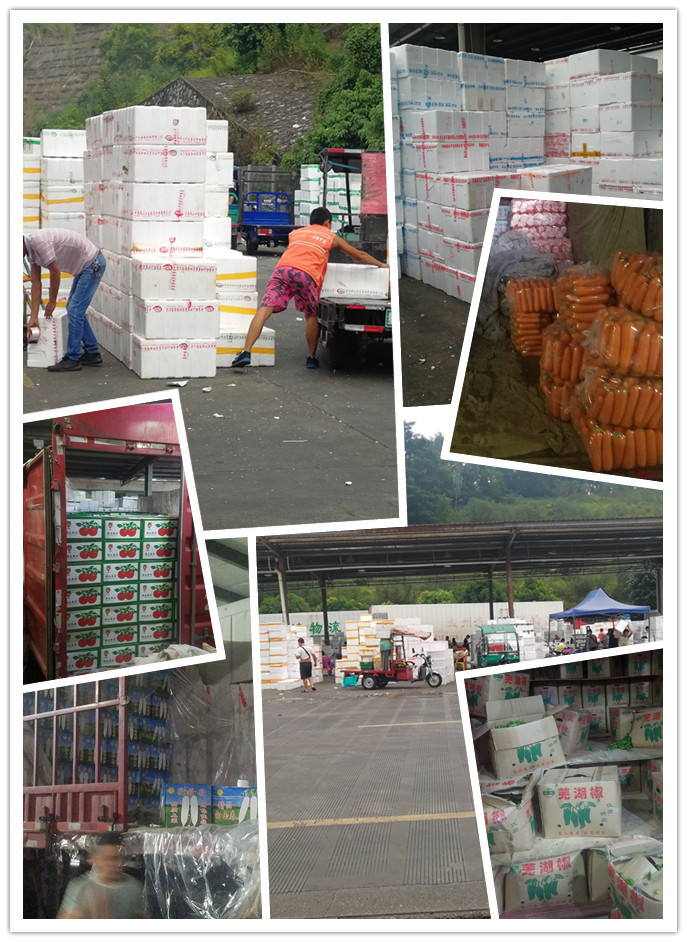 首页-PA集团有限公司官网入口