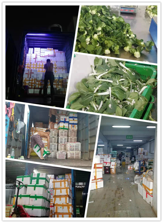 首页-PA集团有限公司官网入口