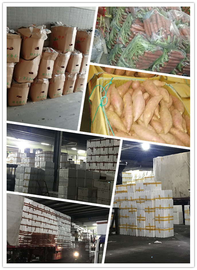 首页-PA集团有限公司官网入口