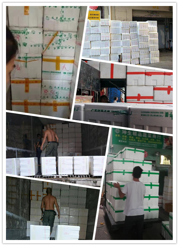 首页-PA集团有限公司官网入口