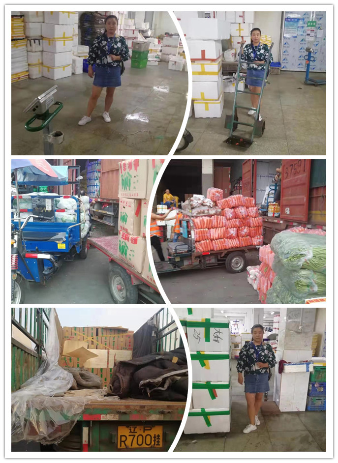 首页-PA集团有限公司官网入口