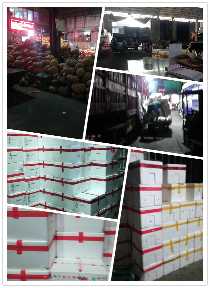 首页-PA集团有限公司官网入口