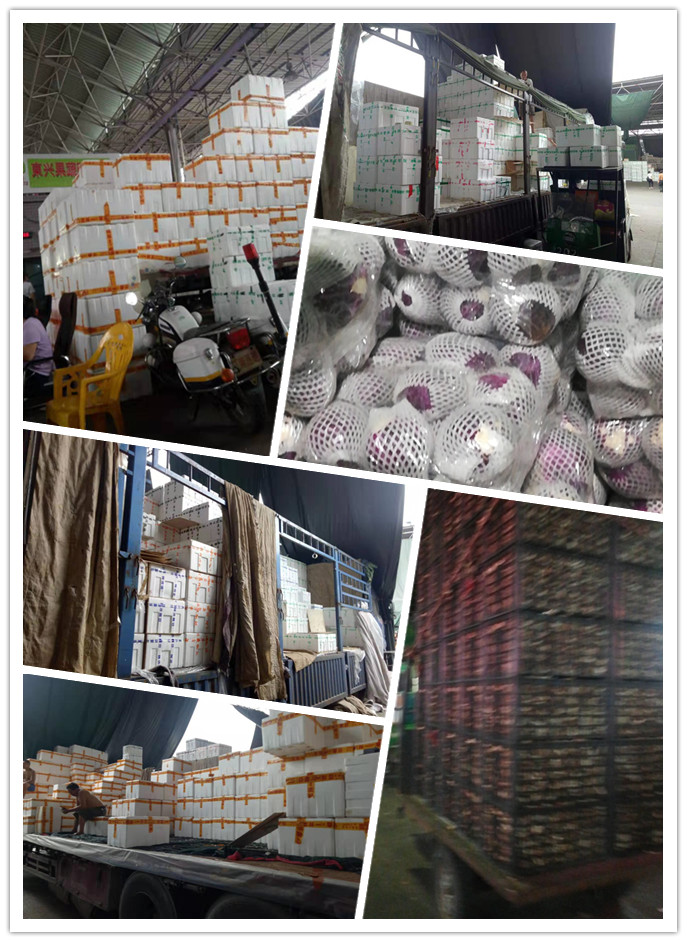 首页-PA集团有限公司官网入口