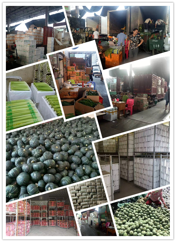 首页-PA集团有限公司官网入口