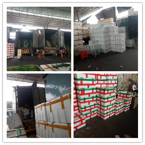 首页-PA集团有限公司官网入口