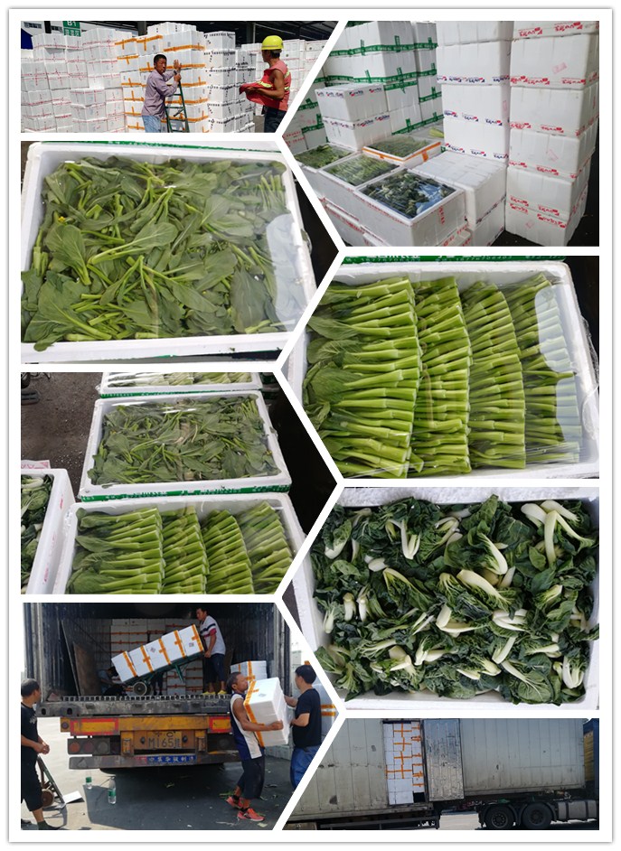 首页-PA集团有限公司官网入口