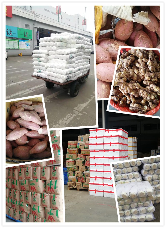 首页-PA集团有限公司官网入口