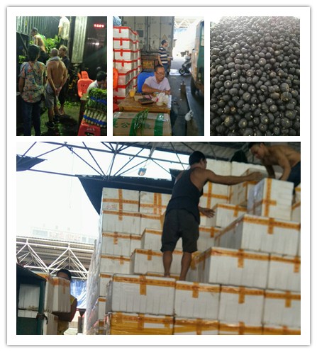 首页-PA集团有限公司官网入口