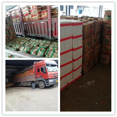 首页-PA集团有限公司官网入口