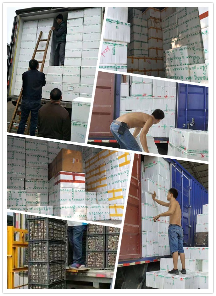 首页-PA集团有限公司官网入口