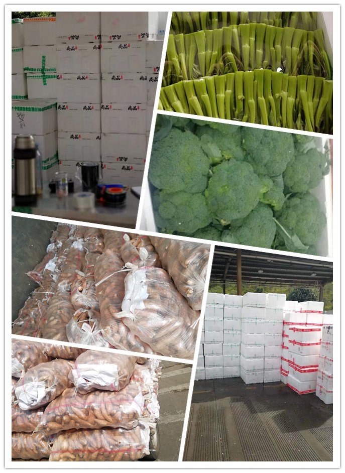 首页-PA集团有限公司官网入口