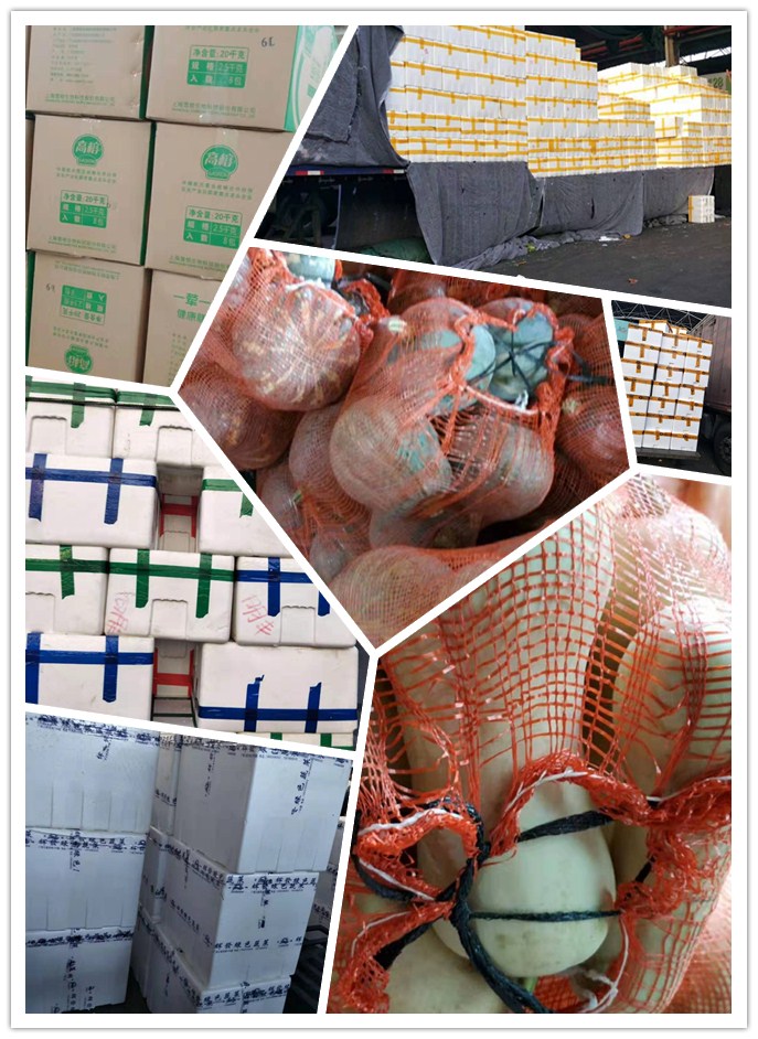 首页-PA集团有限公司官网入口