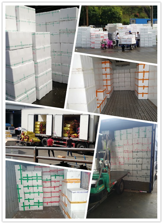 首页-PA集团有限公司官网入口