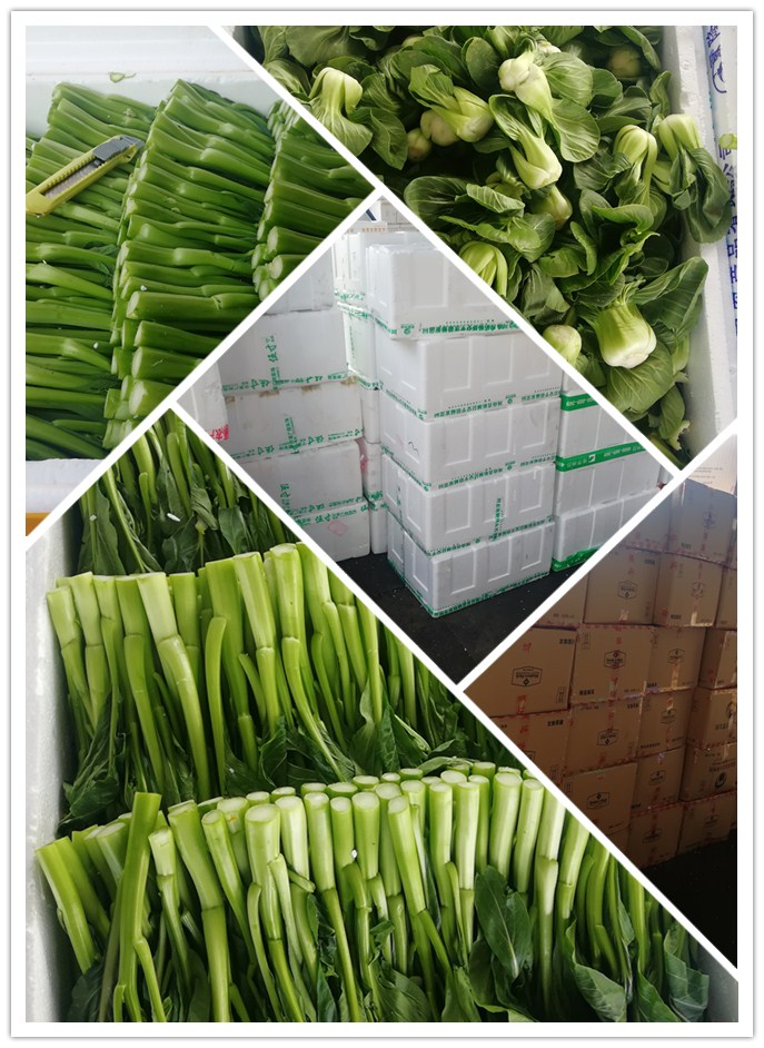 首页-PA集团有限公司官网入口