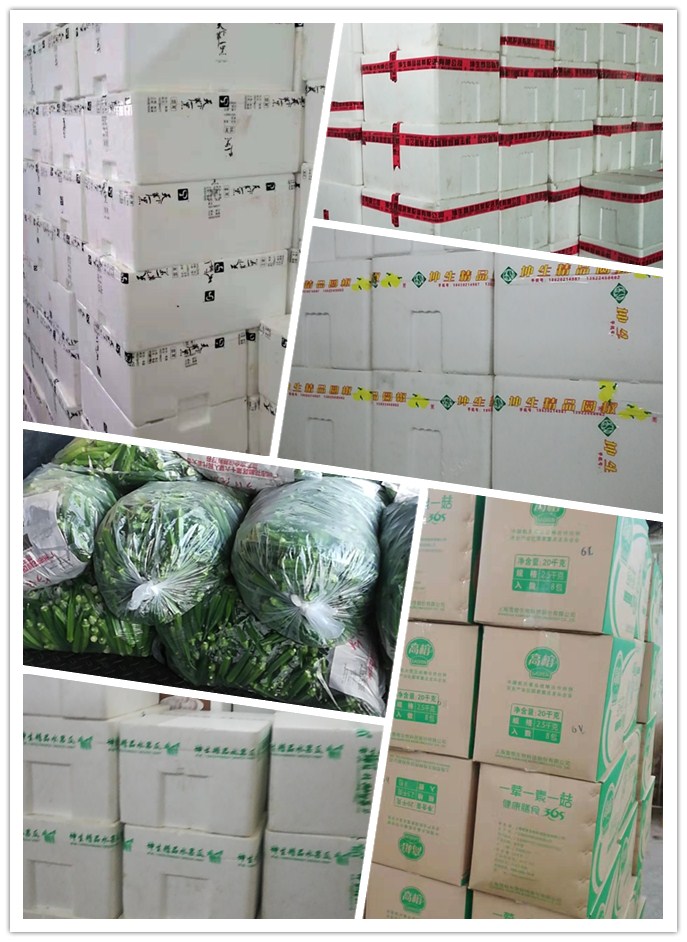 首页-PA集团有限公司官网入口