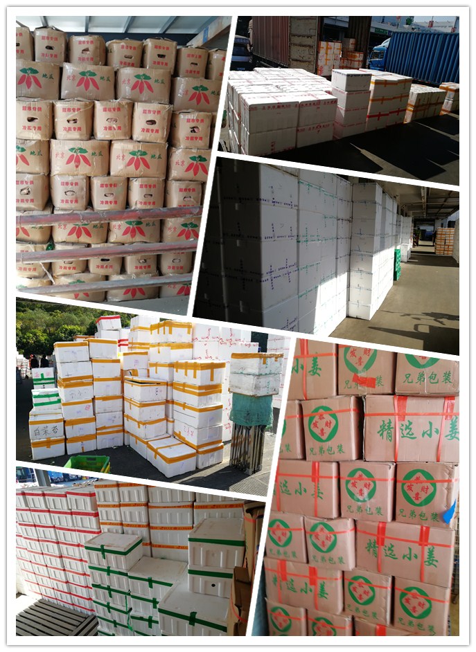 首页-PA集团有限公司官网入口