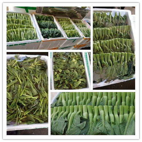 首页-PA集团有限公司官网入口