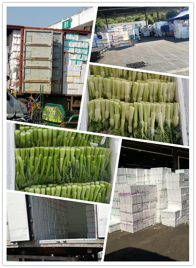 首页-PA集团有限公司官网入口