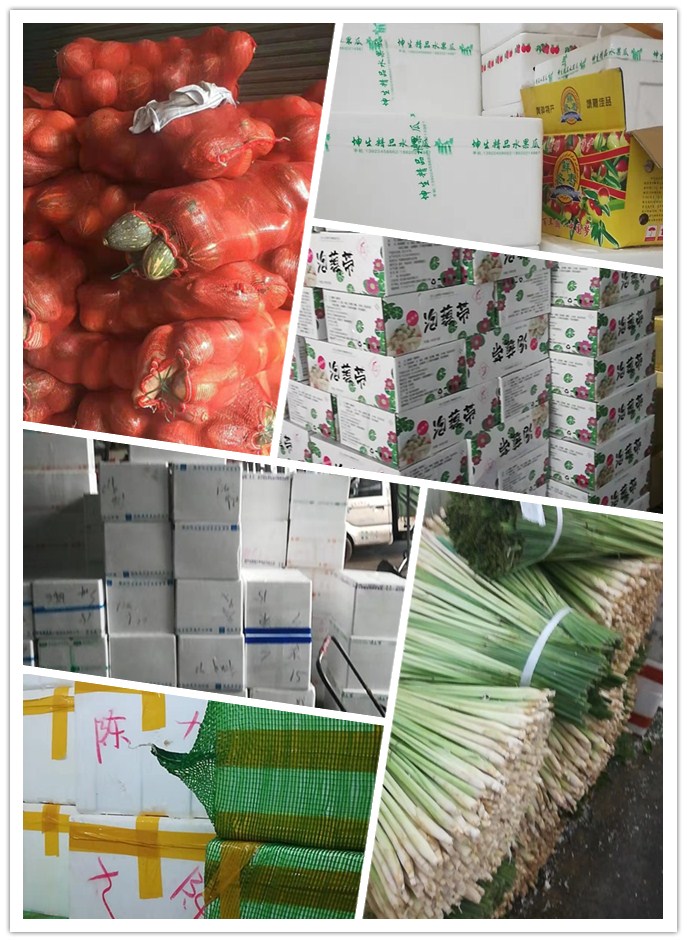 首页-PA集团有限公司官网入口