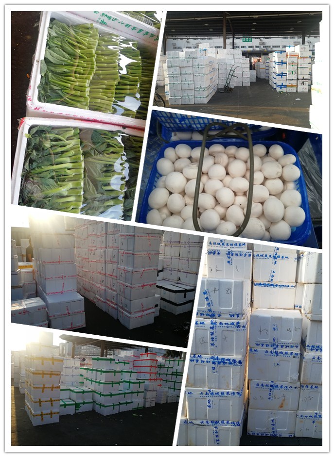 首页-PA集团有限公司官网入口