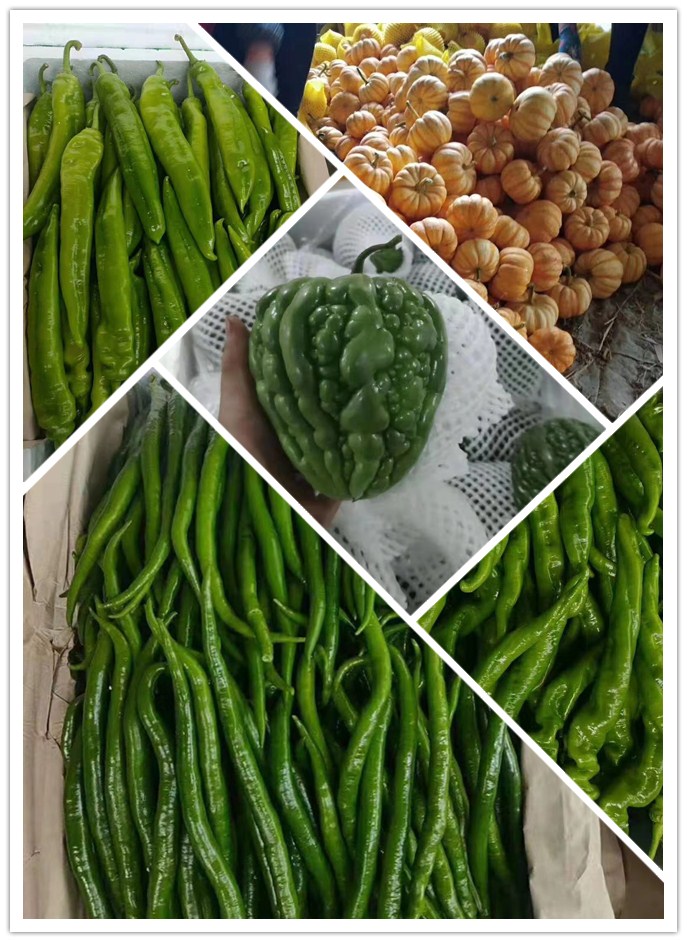 首页-PA集团有限公司官网入口