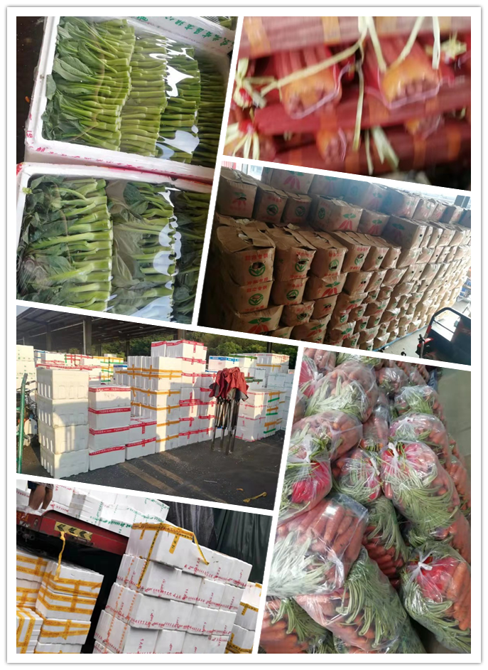 首页-PA集团有限公司官网入口