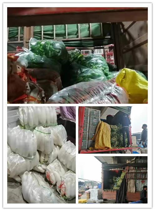 首页-PA集团有限公司官网入口