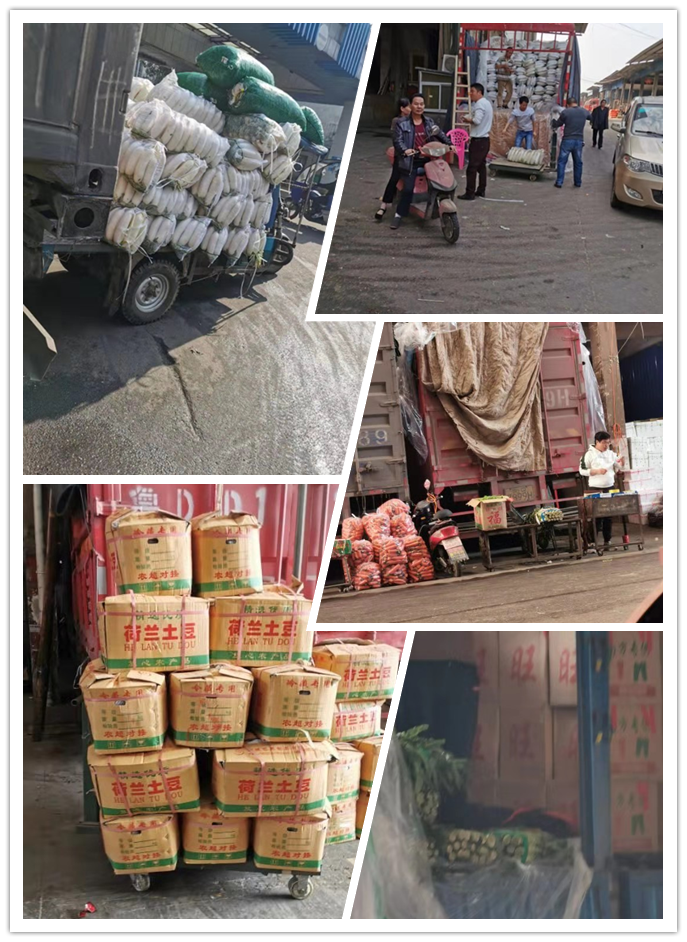 首页-PA集团有限公司官网入口