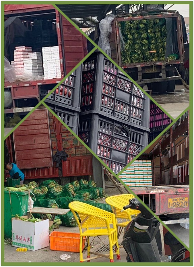 首页-PA集团有限公司官网入口