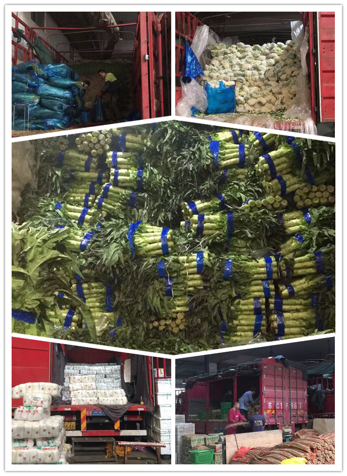 首页-PA集团有限公司官网入口