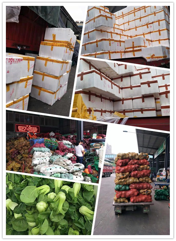 首页-PA集团有限公司官网入口