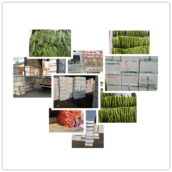 首页-PA集团有限公司官网入口