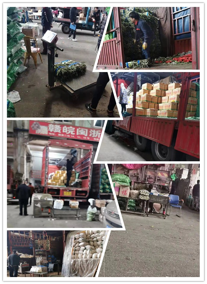 首页-PA集团有限公司官网入口