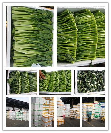 首页-PA集团有限公司官网入口