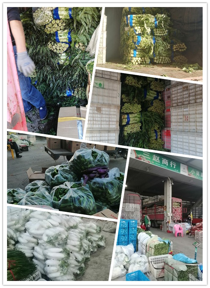 首页-PA集团有限公司官网入口