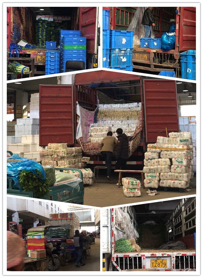 首页-PA集团有限公司官网入口