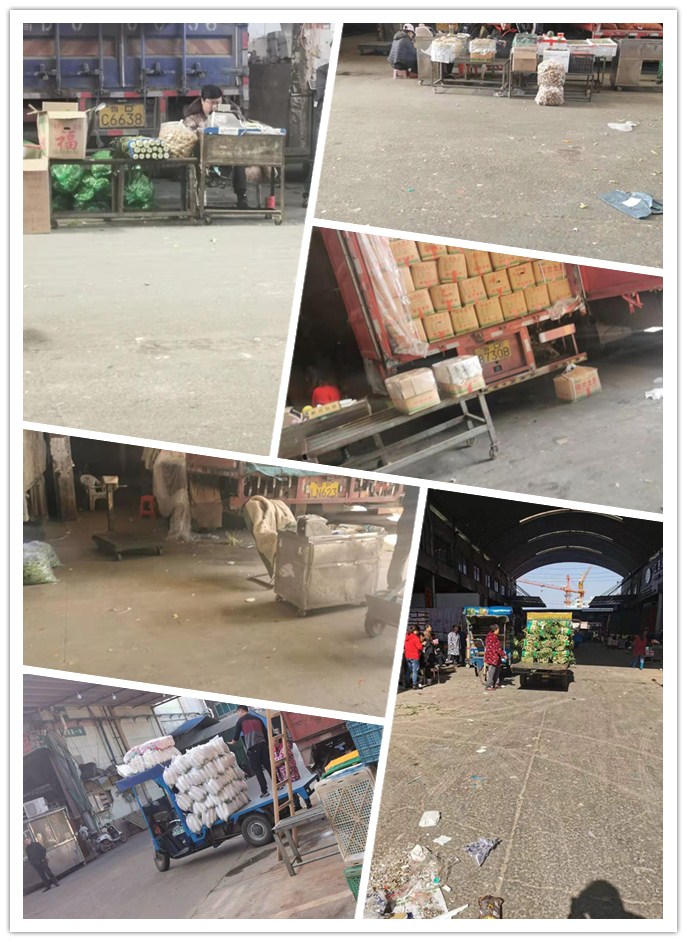 首页-PA集团有限公司官网入口