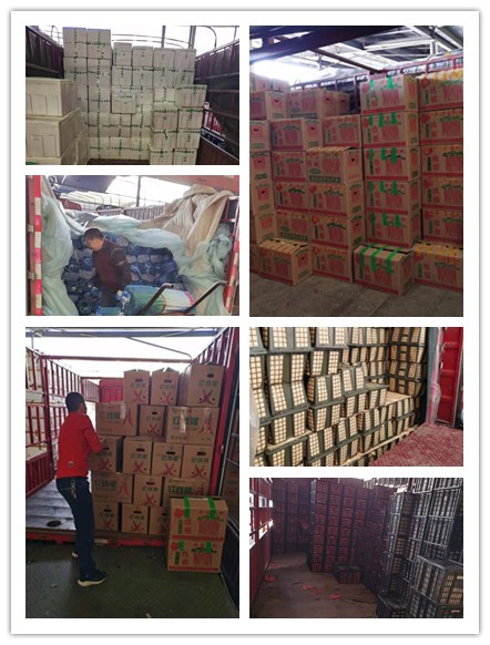 首页-PA集团有限公司官网入口