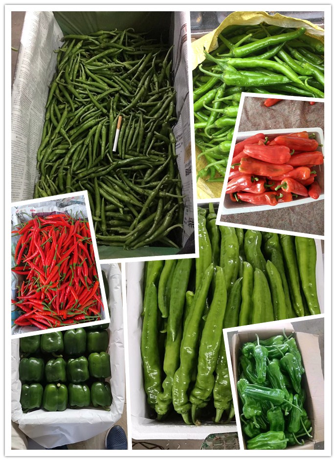 首页-PA集团有限公司官网入口