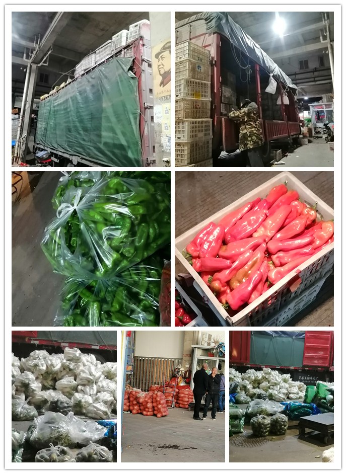 首页-PA集团有限公司官网入口