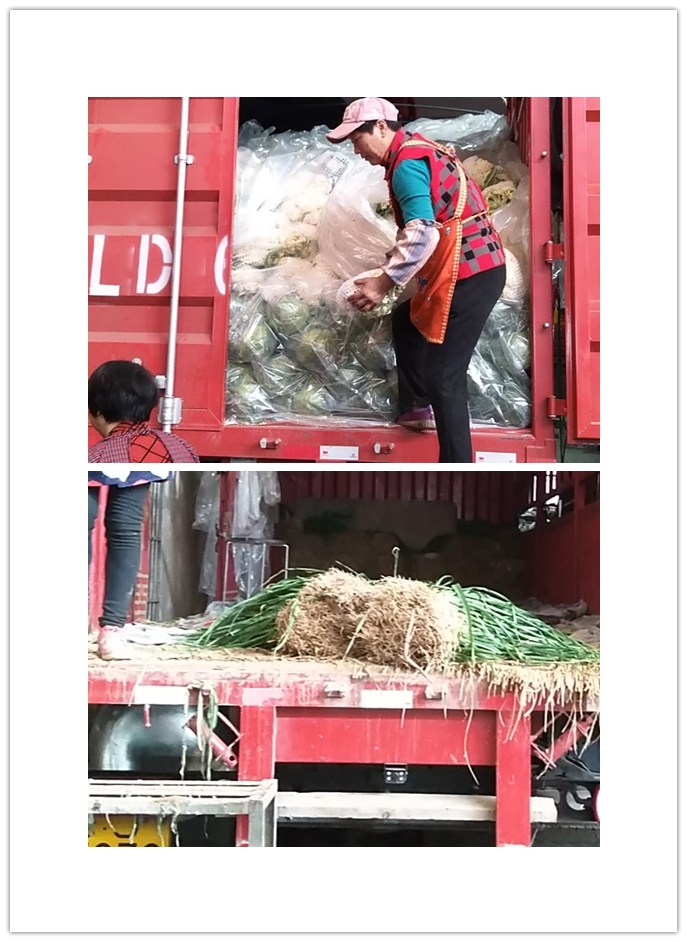 首页-PA集团有限公司官网入口