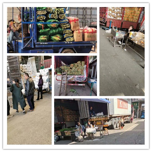 首页-PA集团有限公司官网入口