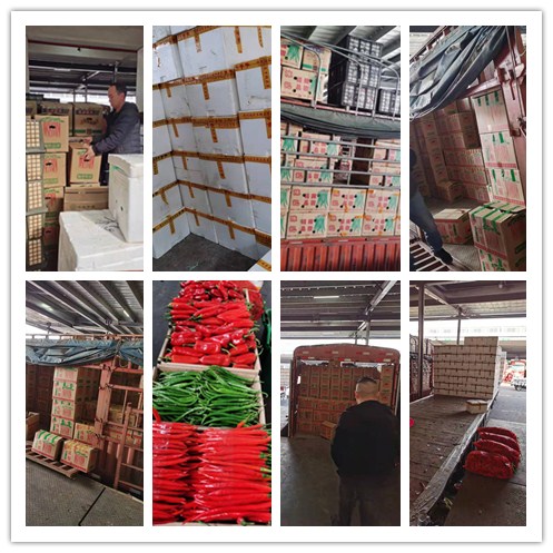 首页-PA集团有限公司官网入口