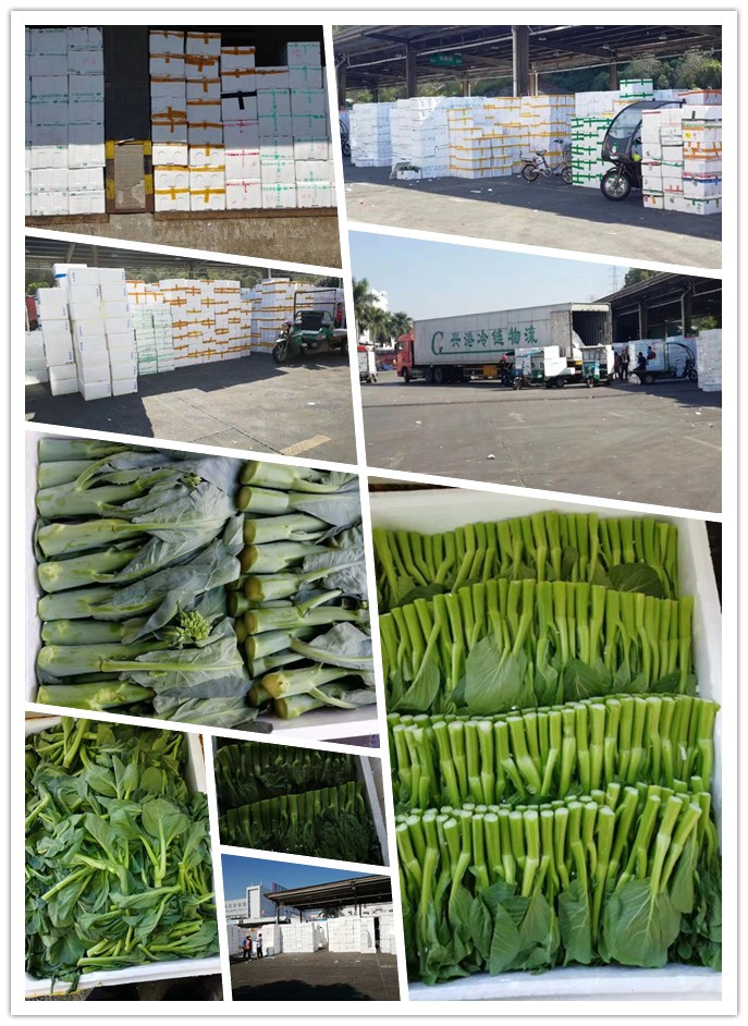 首页-PA集团有限公司官网入口