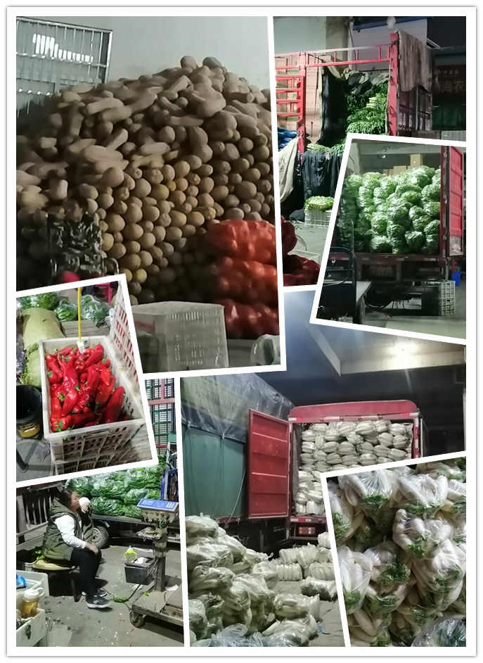 首页-PA集团有限公司官网入口